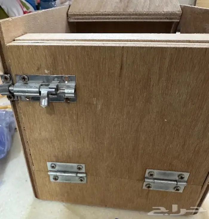 للبيع بياضه للطيور الزينه 1