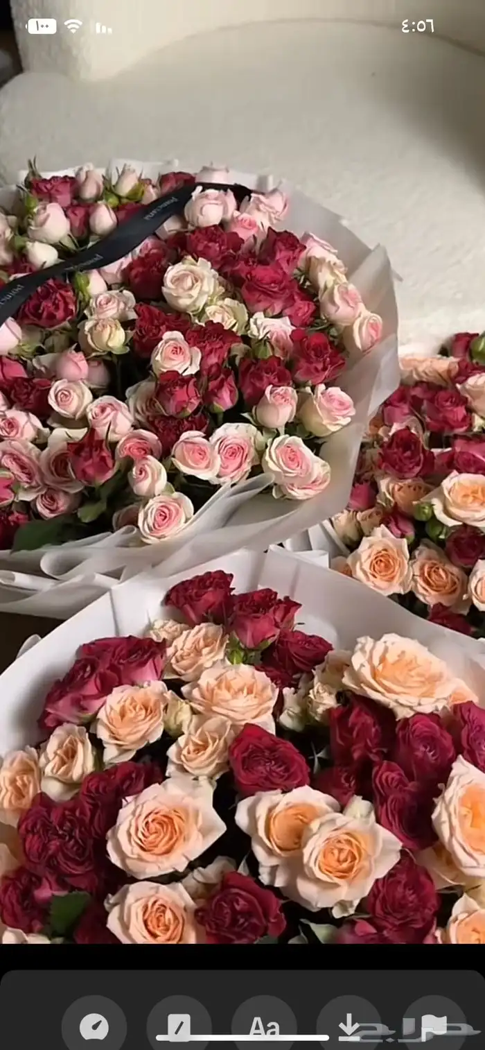 منسق حفلات كوش افراح مناسبات 7
