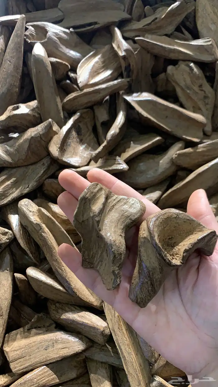 مروكي سوبر 1