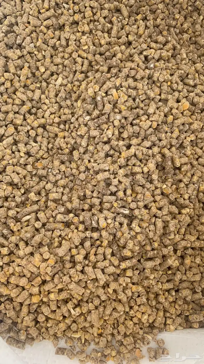 علف دواجن 0