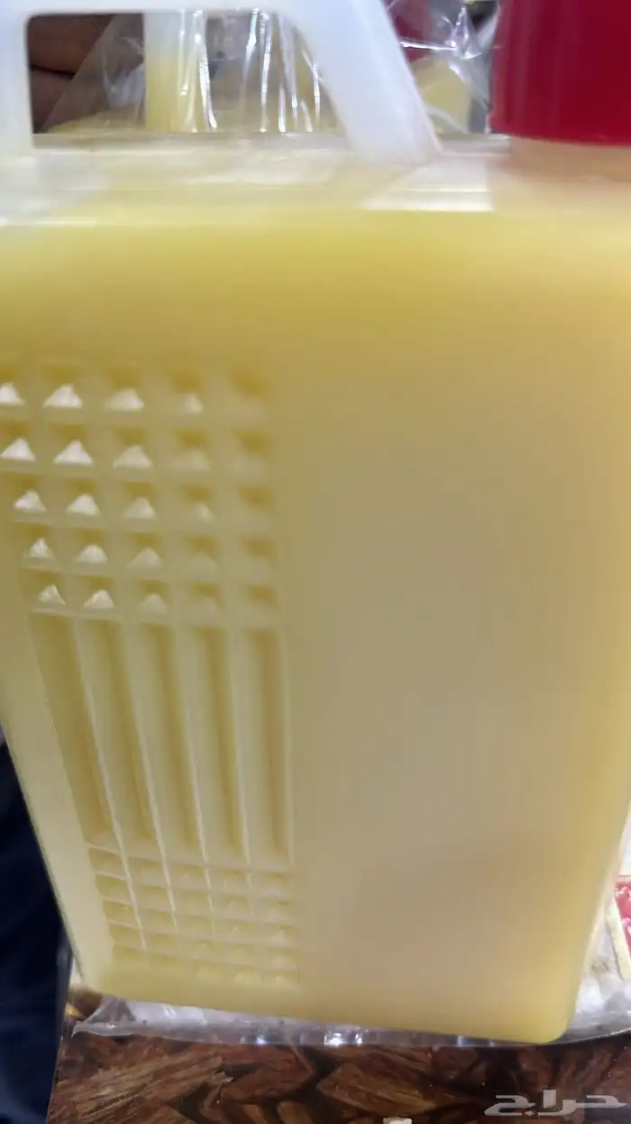 سمن غنم بري مديني 5