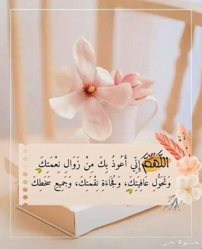 دكتوره جامعه تخصص اداره اعمال ومحاسبه 1