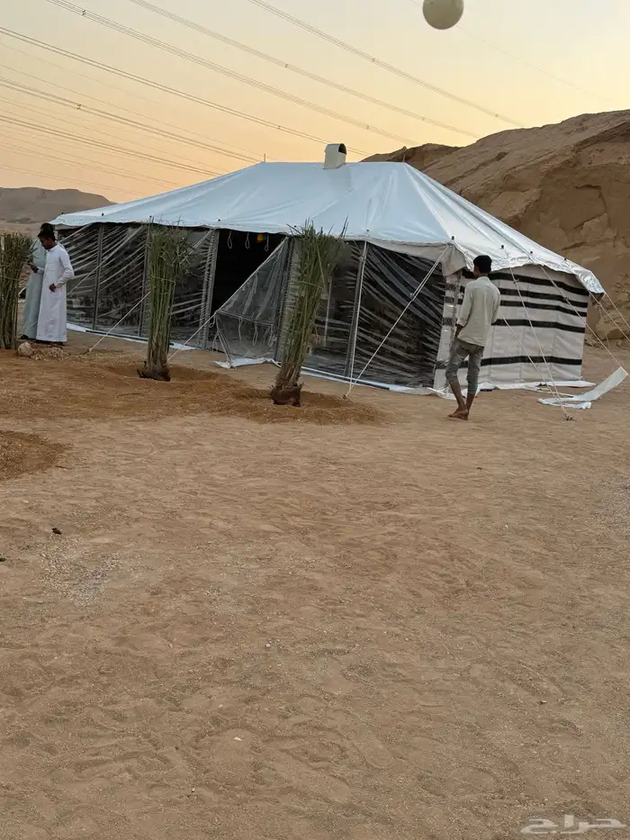 بيوت شعر 14