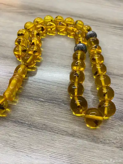 سبح (محشره وغير محشره) 18