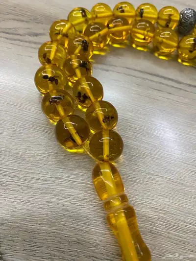 سبح (محشره وغير محشره) 16