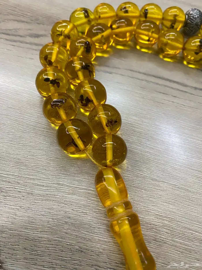 سبح (محشره وغير محشره) 16