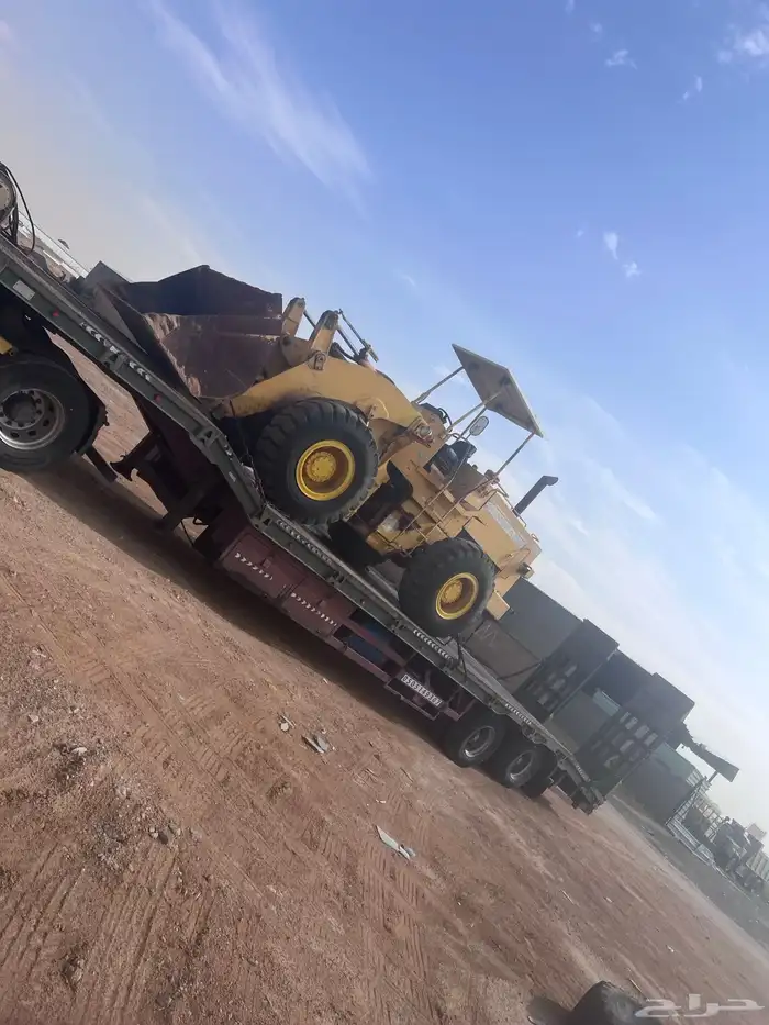 لوبد بالقصيم 0
