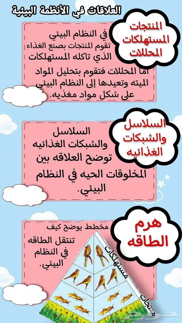 تصميم أروع مطويات 2