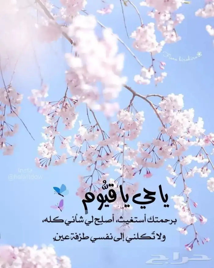 دكتوره جامعه تخصص اداره اعمال ومحاسبه 0