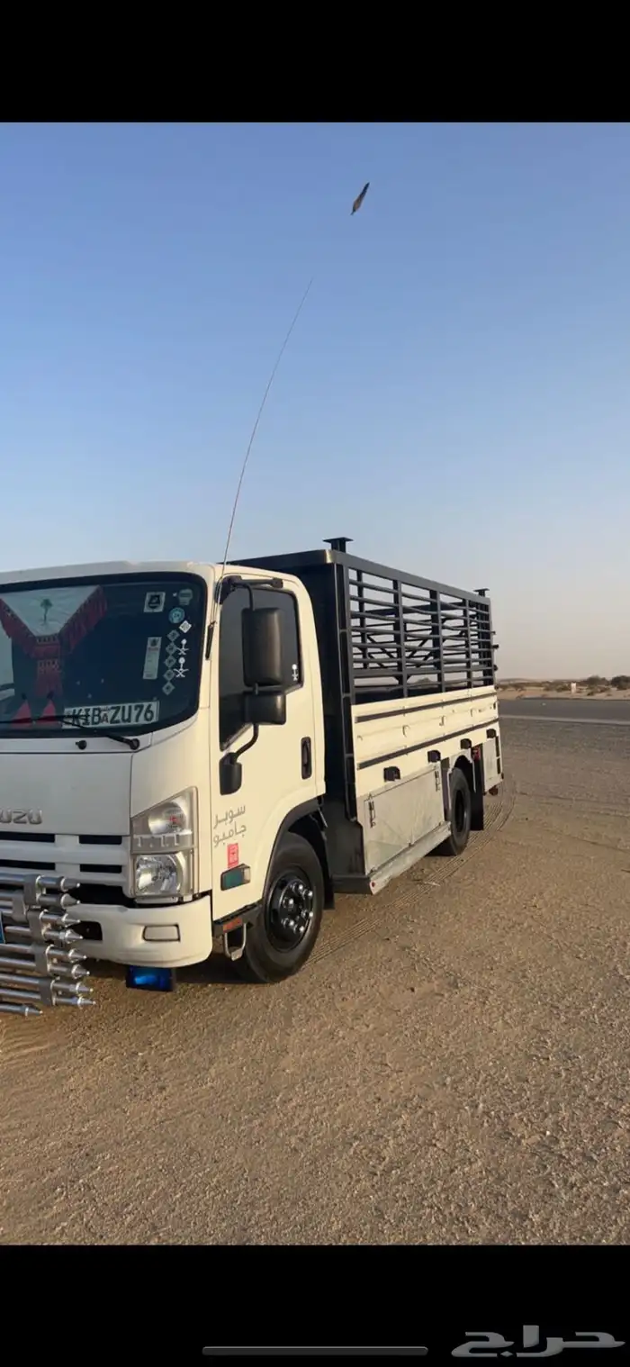 مشاوير رنية الخرمة 1