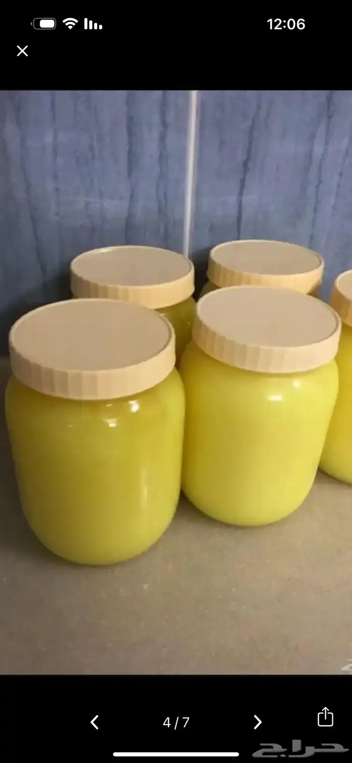 سمن غنم بري مديني 1