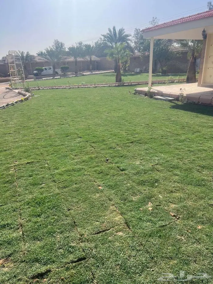 تنسيق حدائق زراعه ثيل طبيعي وشبكات ري 5