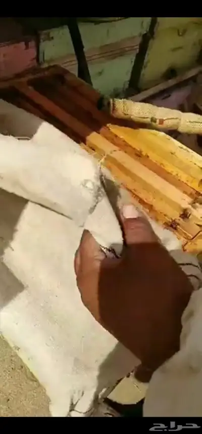 بيع خلايا حديثة نحل بفاتورة ضريبية 2