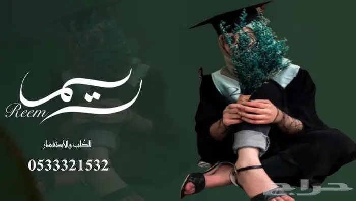 منشد شيلات شاعر جزل 0