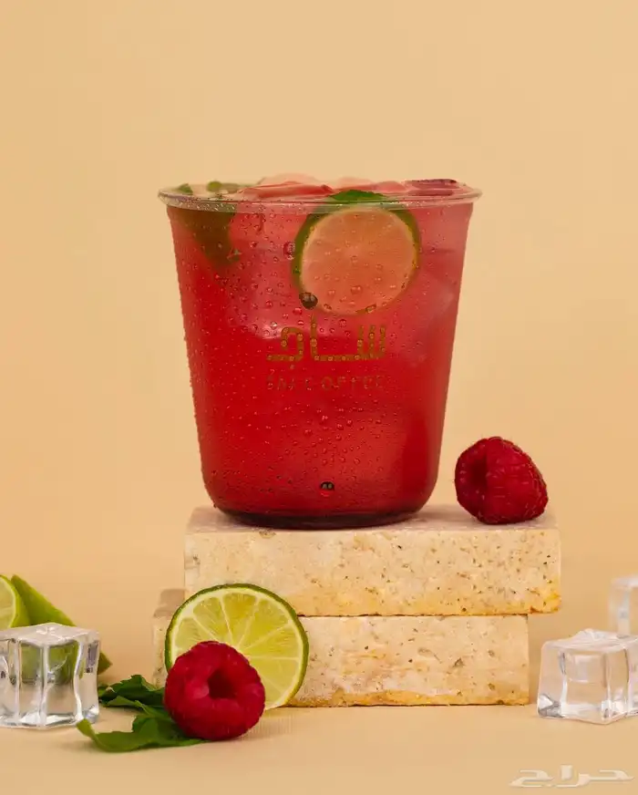 مصورة اطعمه 13