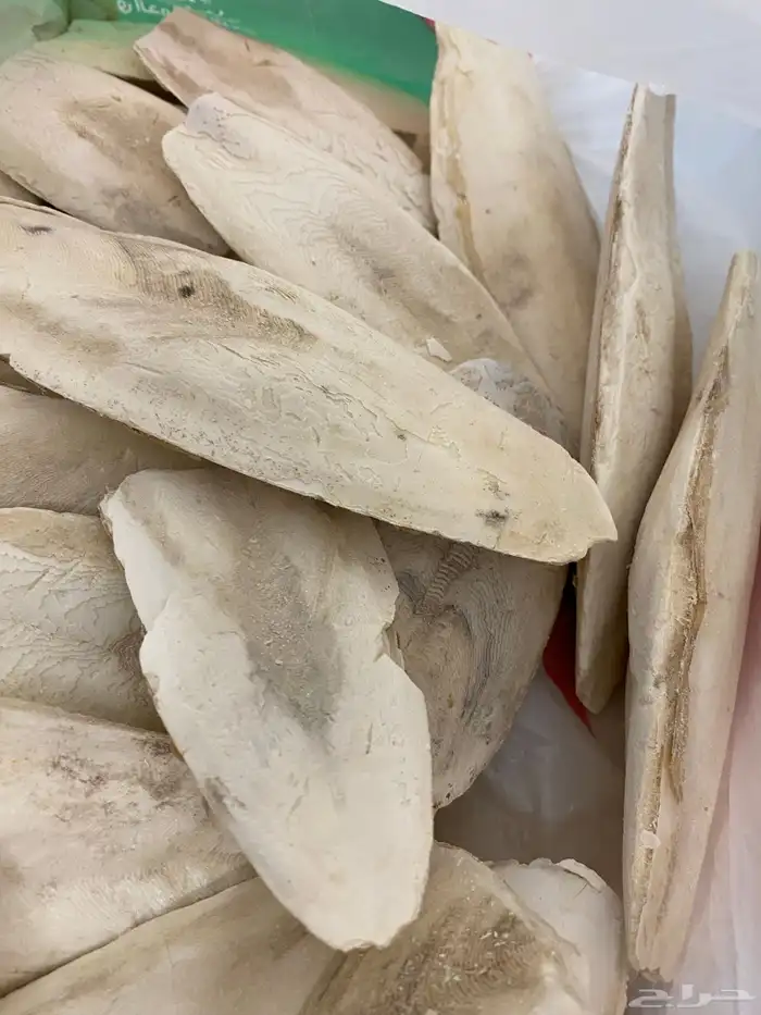ابر مورنقا حبارجهاز قياس الرطوبة و الحرارة كل مل يخص الطيور 18