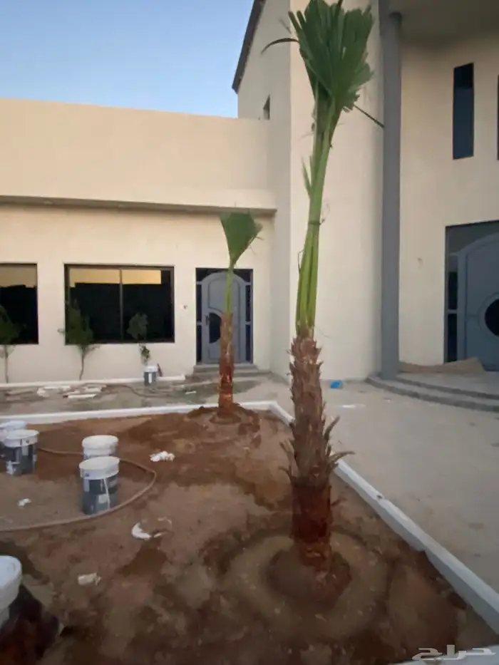 واشنطني زينه 2