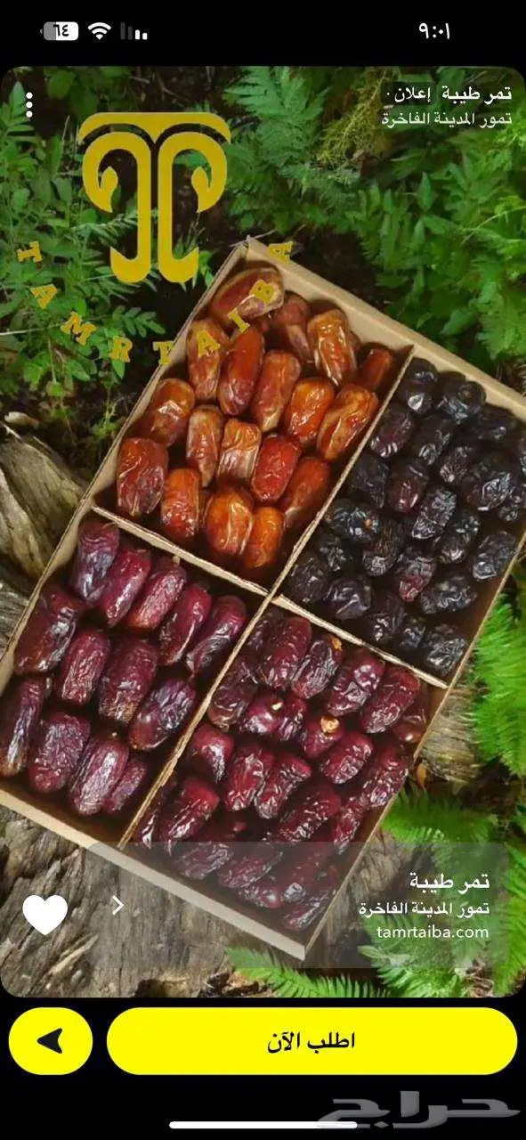 تمور المدينة المنورة بركة وشفاء 1