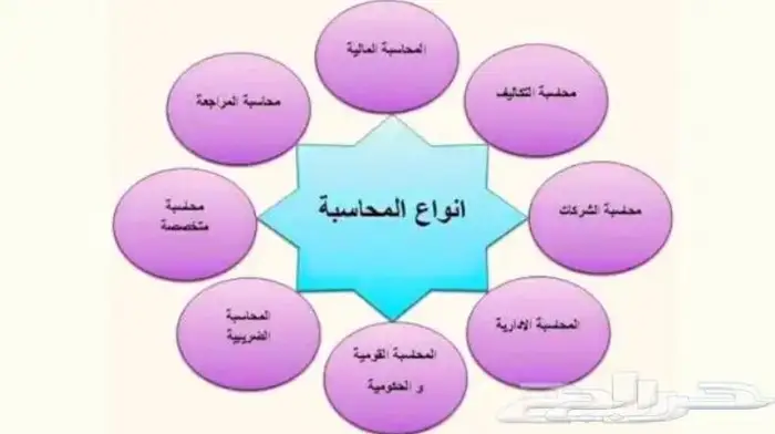 معلم محاسبة وادارة مالية 0