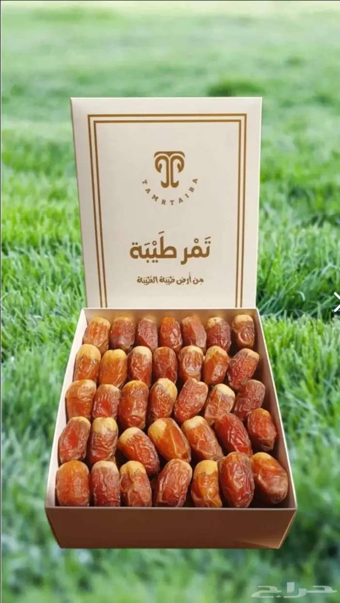 تمور المدينة المنورة بركة وشفاء 5