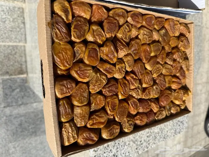 سكري مفتل فاخر بالجملة فقط 0