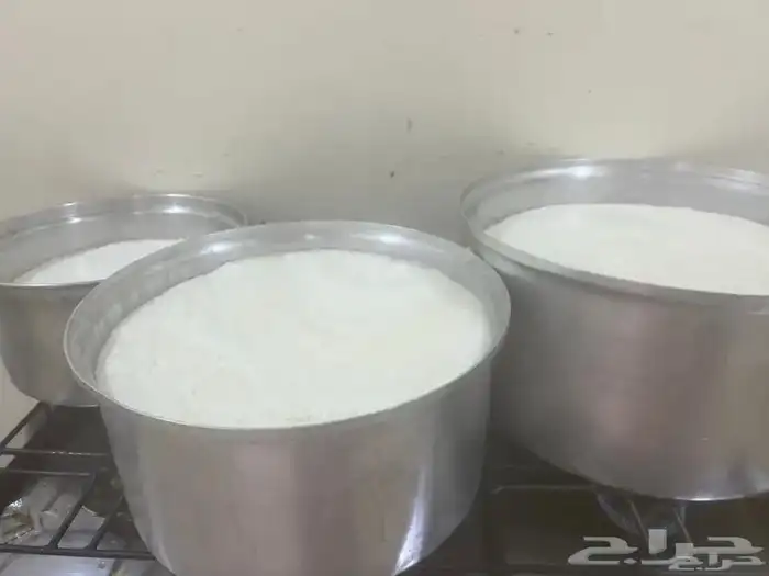 زبده بقر 0