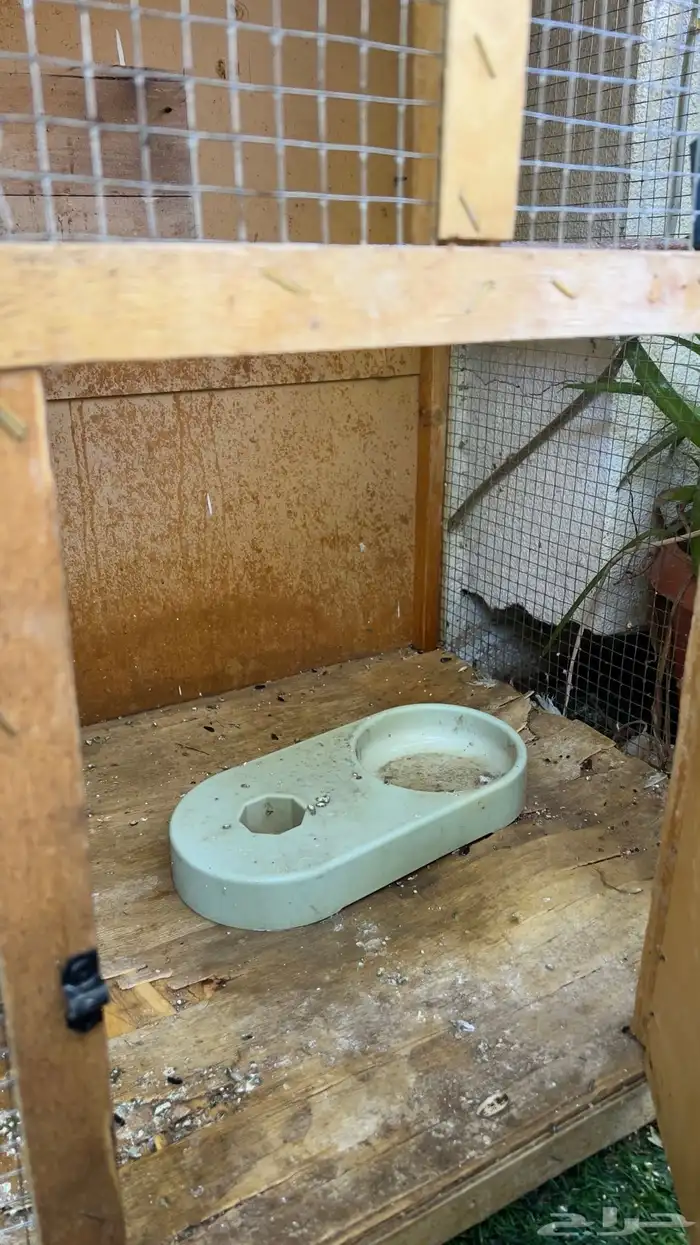 محكر طيور خشبي شكل كوخ للبيع 8