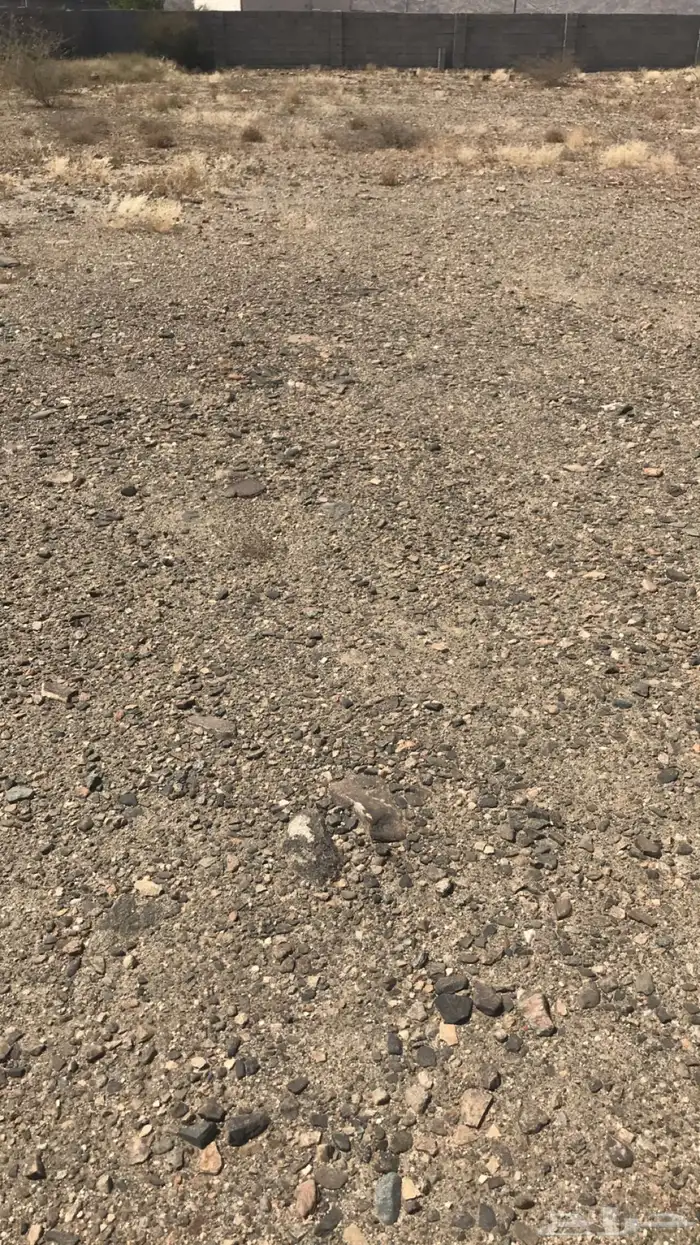 للبيع المساحة 8900 10