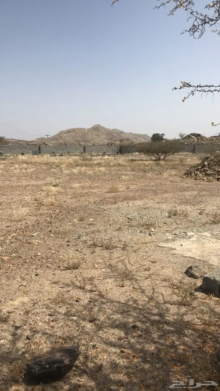 للبيع المساحة 8900 6