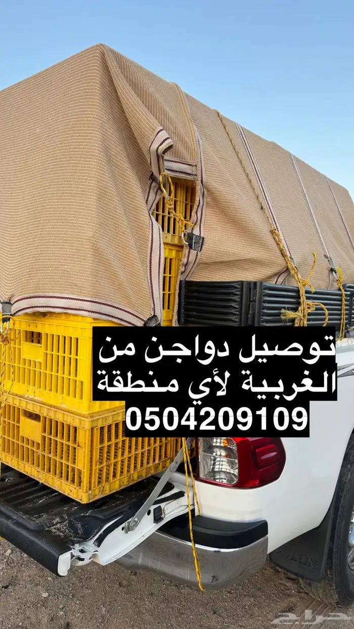 توصيل بط دجاج حمام 0