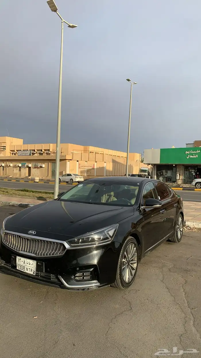 كادنزا 2018 1
