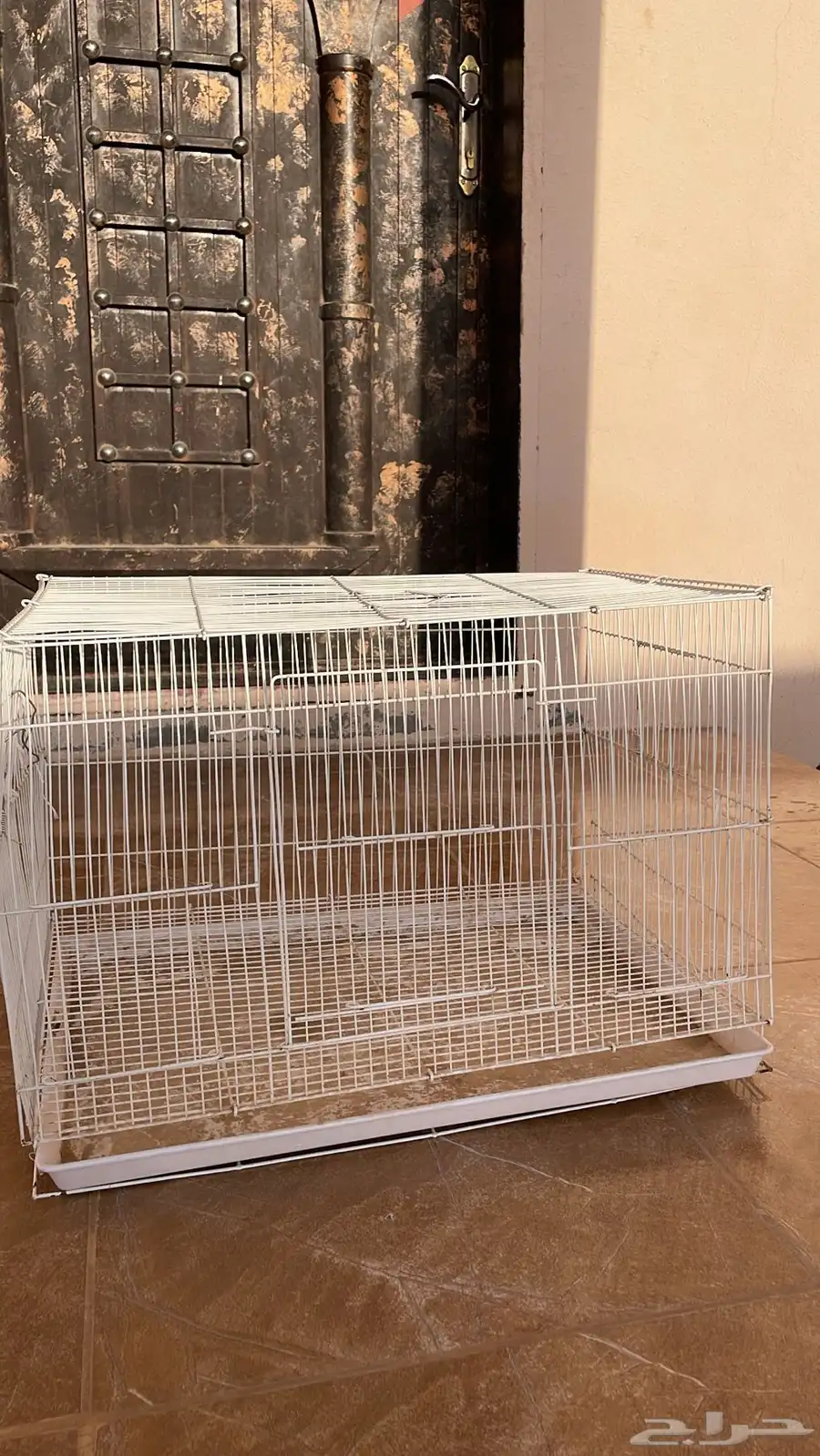 اقفاص 5