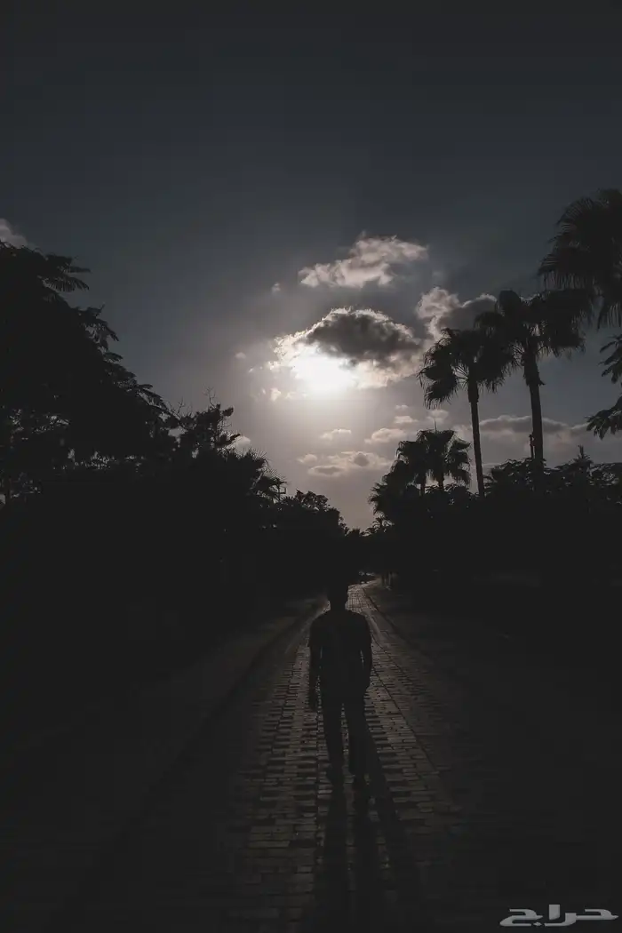 كورس تعلم التصوير 4