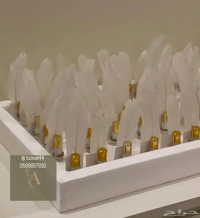 توزيعات مواليد 31