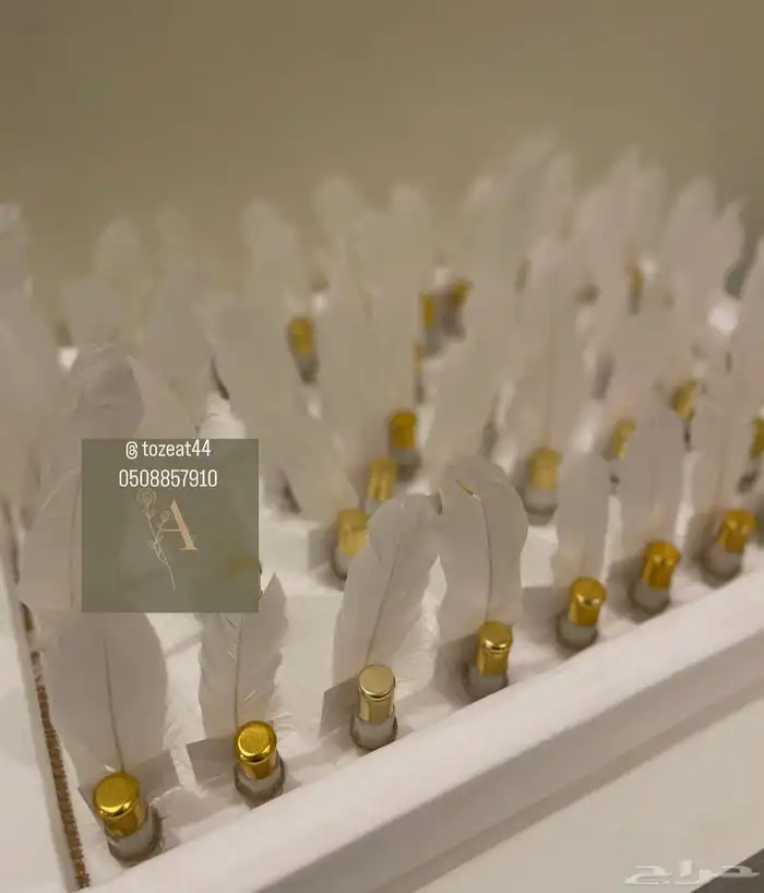 توزيعات مواليد 33