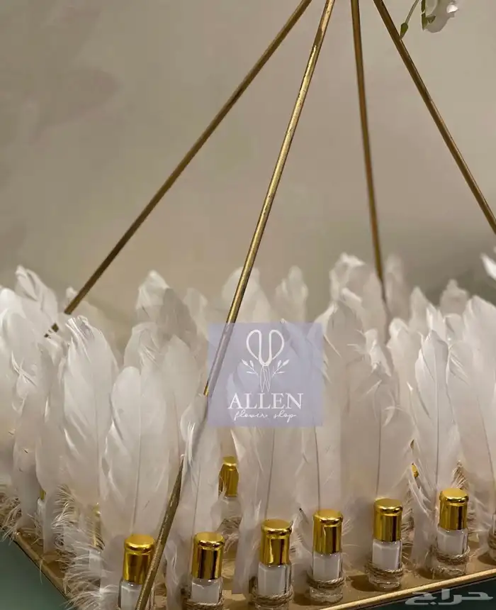 توزيعات مواليد 35