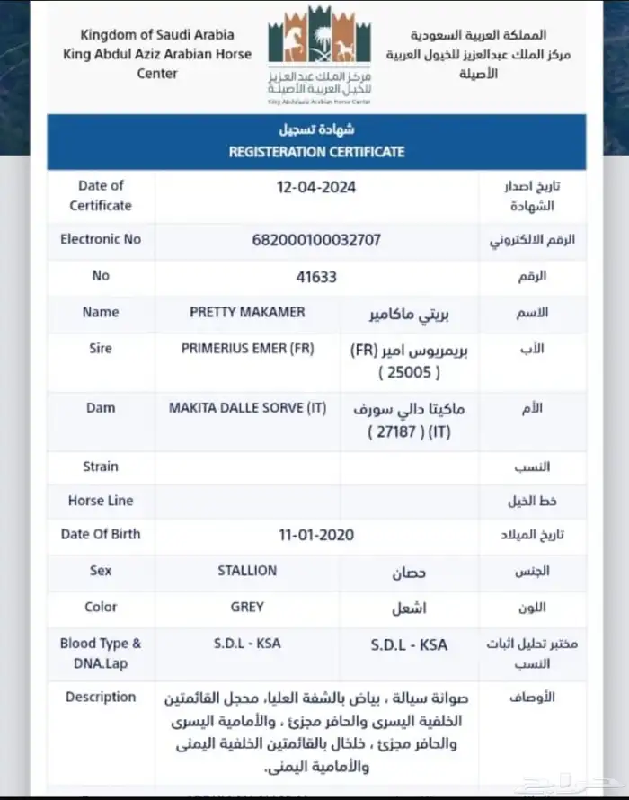 حصان واهو 6