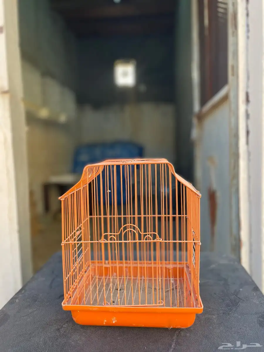 اقفاص 6