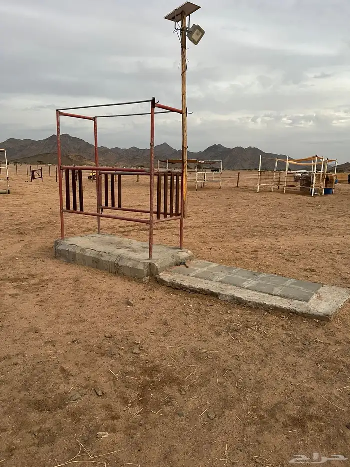 ايواء خيل 6