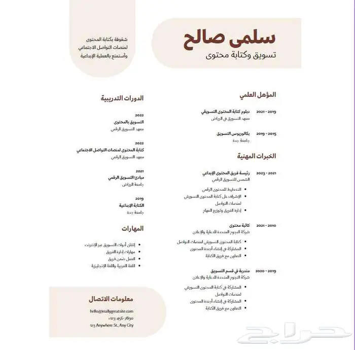 تصميم سيرة ذاتية باحترافية cv 3