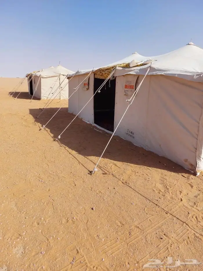 تأجير الخيام وبيوت الشعر وكرسي وفرش ملكي 21