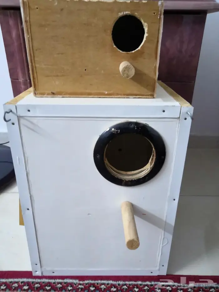 للبيع بياضة روز وبياضة درة هندي 0