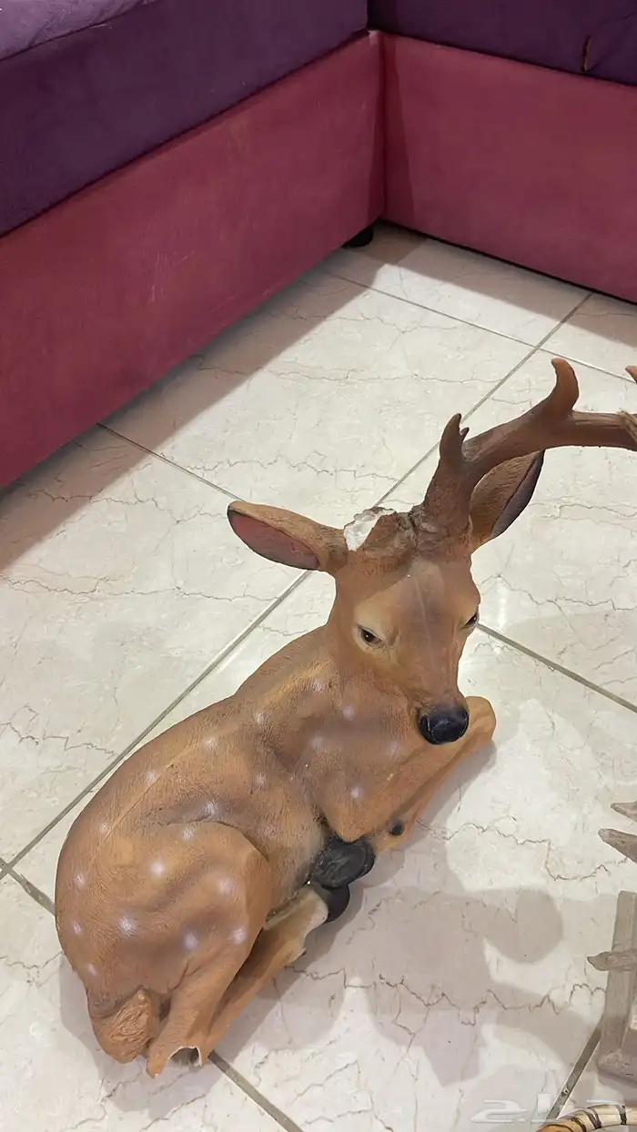 تحف. ثلاث اشكال. 0