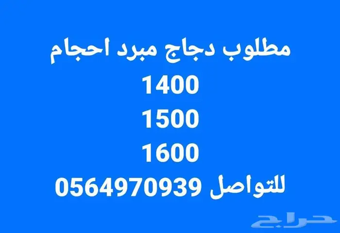مطلوب دجاج مبرد احجام 1400 1500 1600 للتواصل 0