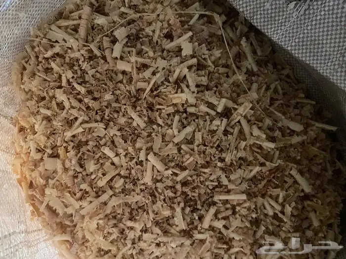 نشارة خشب 1
