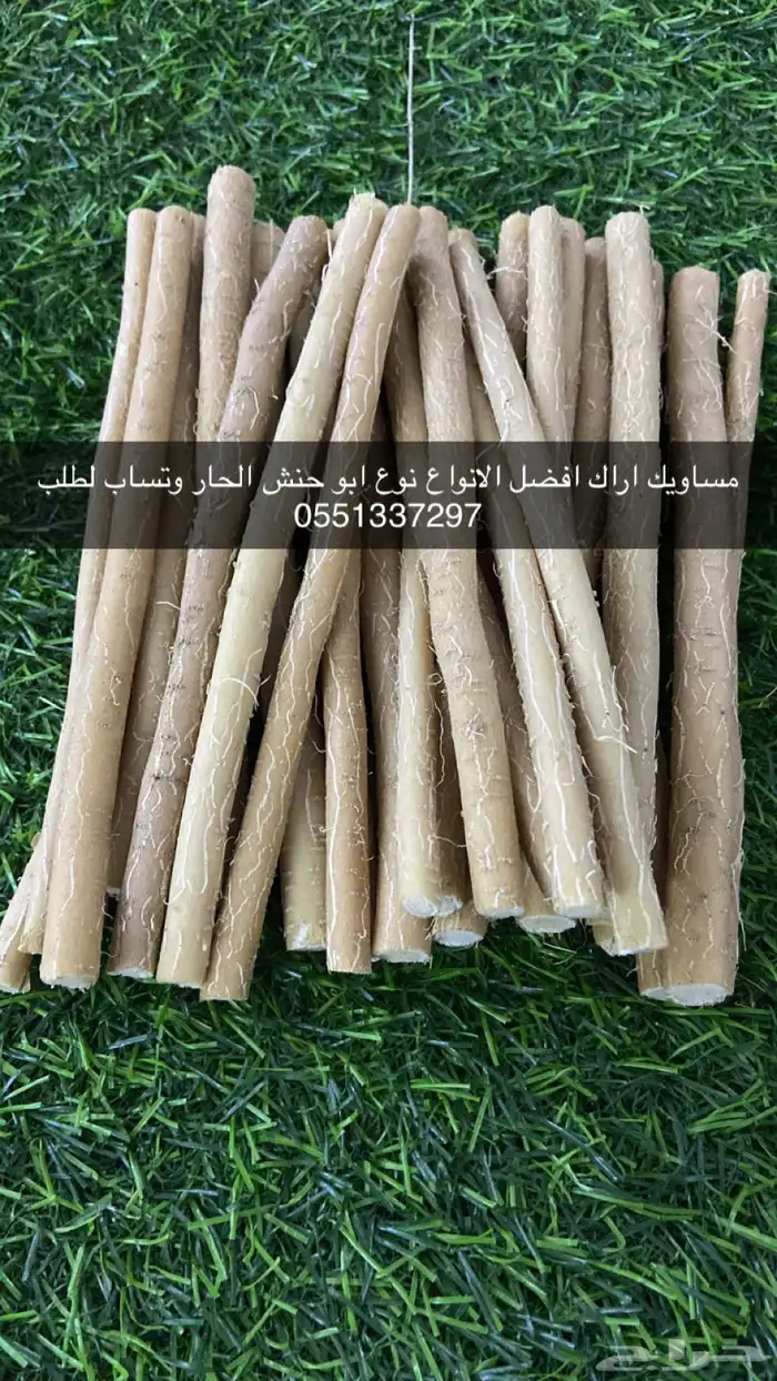 مساويك ممتازه استخدام شخصي و جمله 1