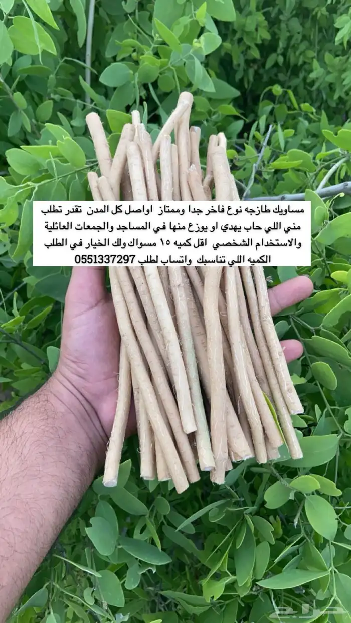 مساويك ممتازه استخدام شخصي و جمله 2