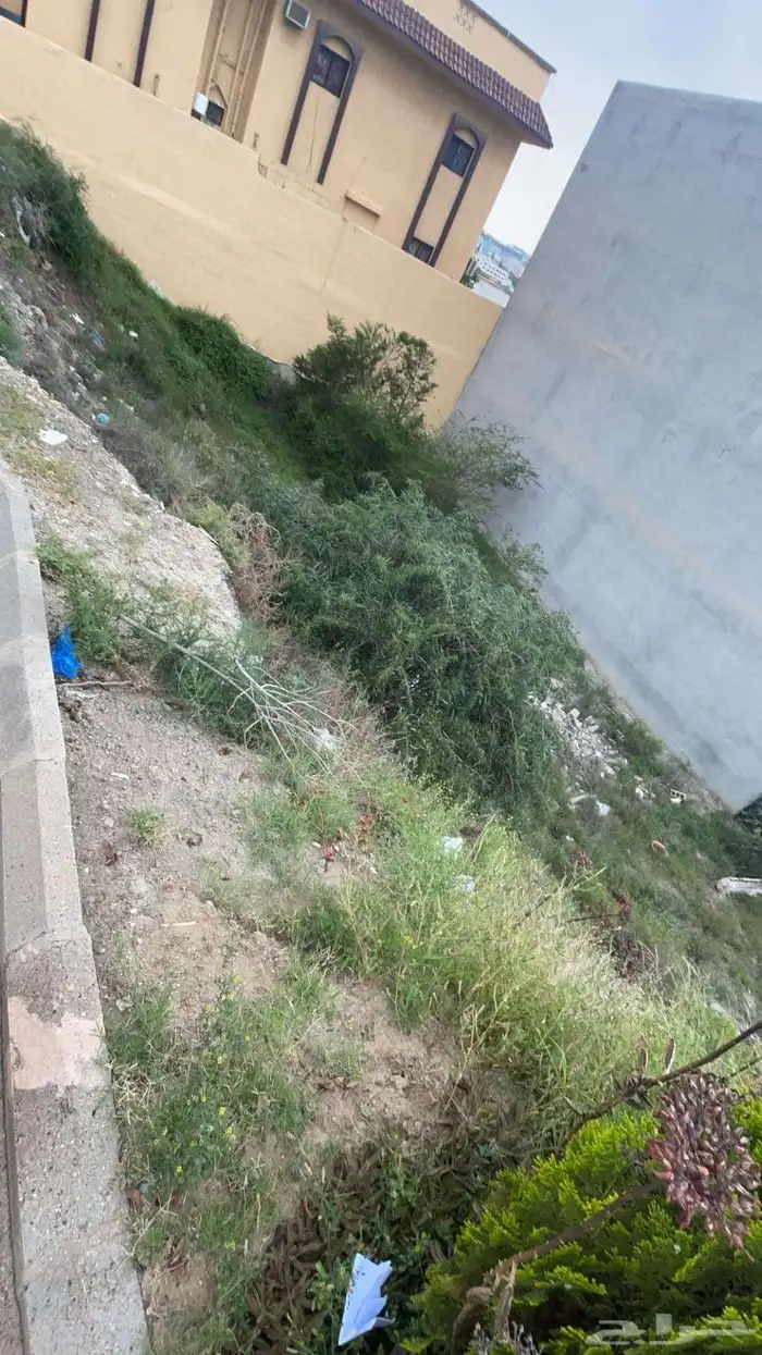 ارض للبيع حي العرين موقع مميز 1
