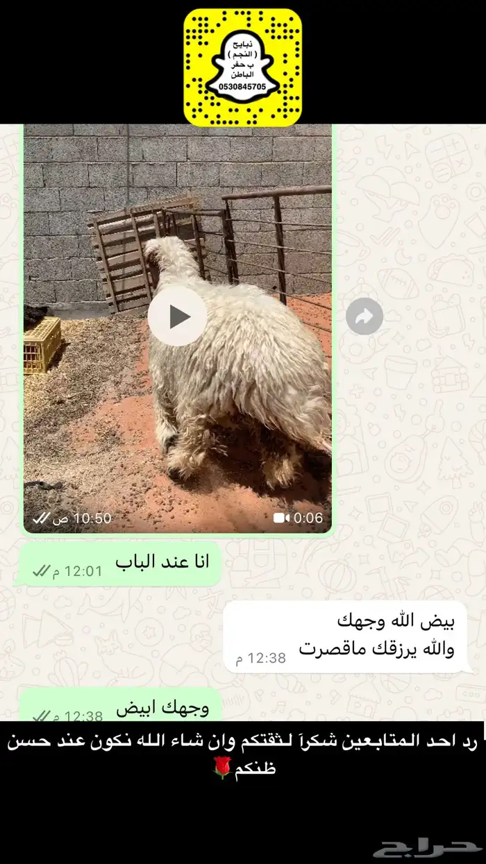 ذبايح النجم حفرالباطن 38