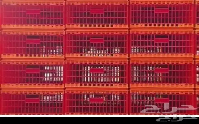 أقفاص لنقل دجاج الحي حبة 75 1